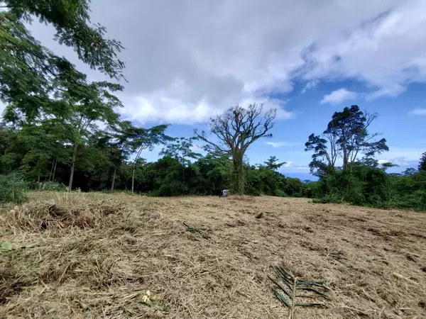 Captain Cook, HI 96704,87-457 KAOHE MAUKA RD