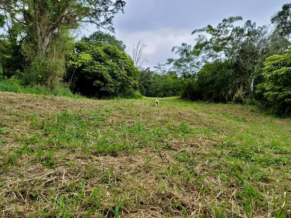 Captain Cook, HI 96704,87-457 KAOHE MAUKA RD