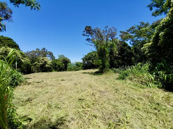 Captain Cook, HI 96704,87-457 KAOHE MAUKA RD