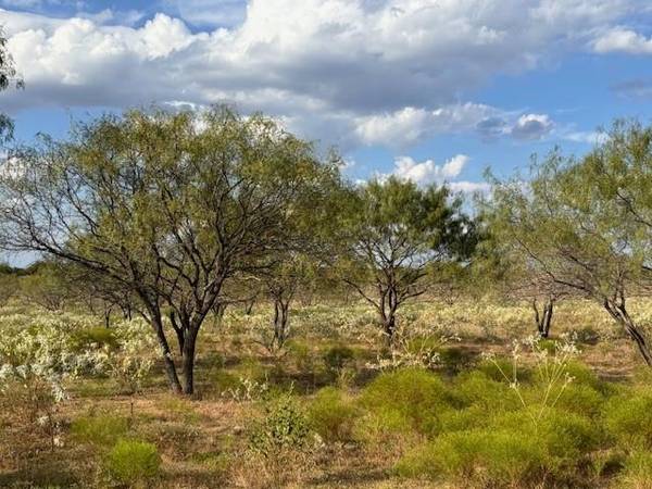 Barry, TX 75102,1002 N Fm 55