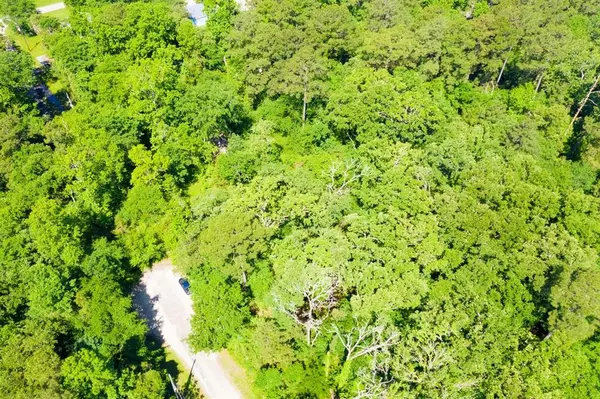 Trinity, TX 75862,Lots 10-11 Rabbit Run Lane