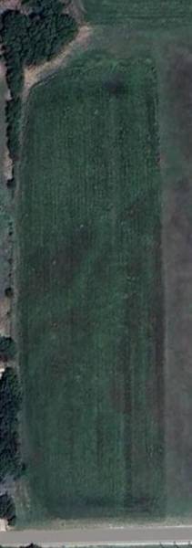 1035 Holder Road, Forreston, TX 76041