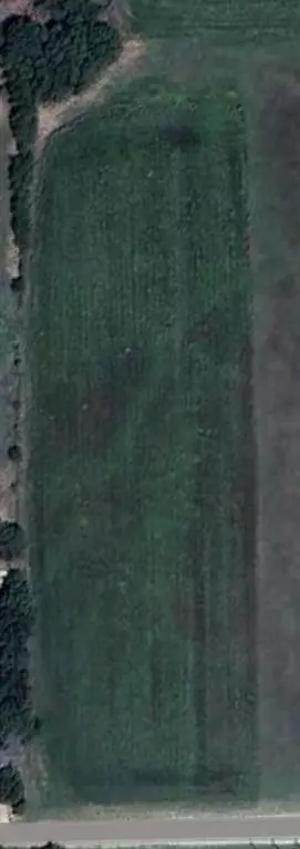 Forreston, TX 76041,1035 Holder Road