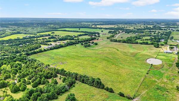 Blue Ridge, TX 75424,31.83 AC Fm 981