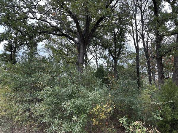 Mabank, TX 75156,102 Navarro Drive