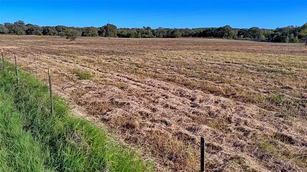 Montague, TX 76251,4678 Fenoglio Road