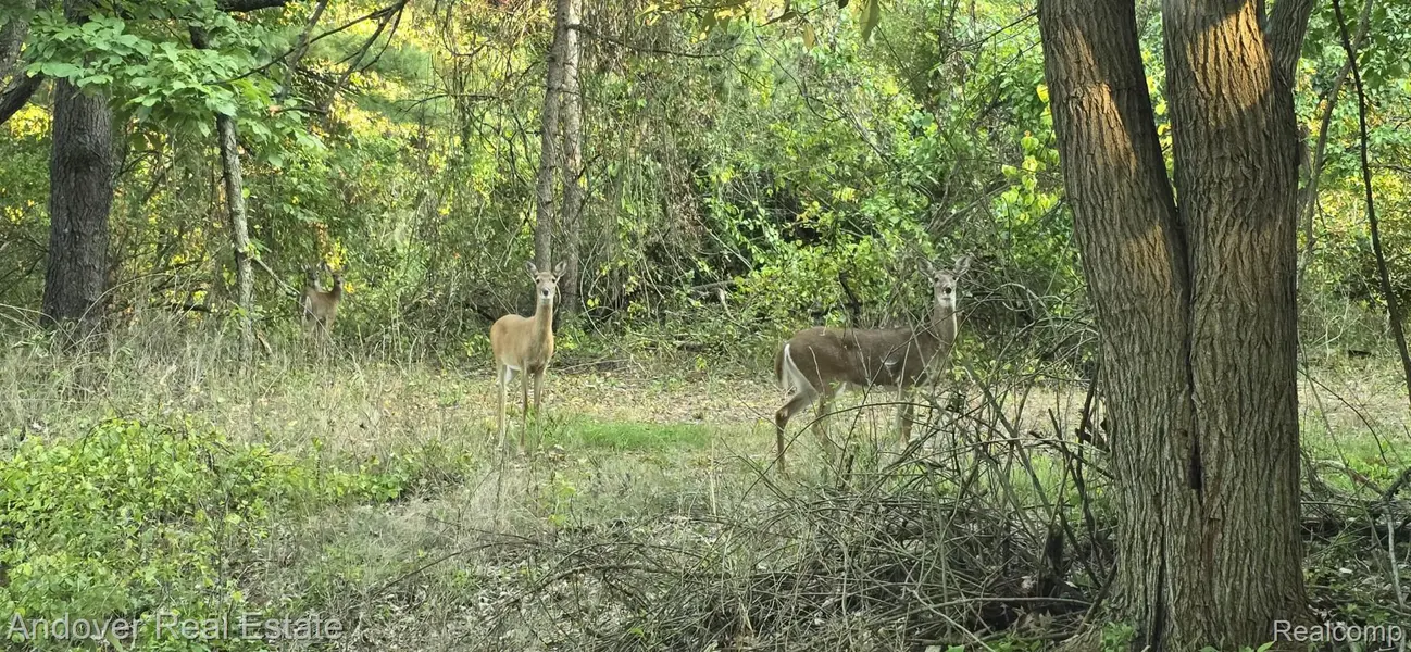 000F N Bay RD, Barry Twp, MI 49046