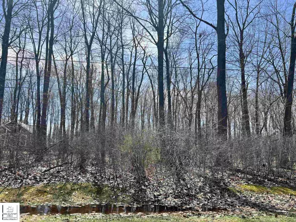 MI 48423,Schoolcraft DR