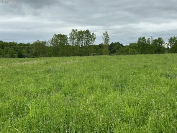 Howell, MI 48843,Parcel 6 Cedar Lake RD