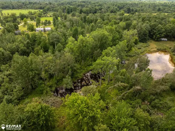 Beaverton, MI 48612,10 acres Townhall RD