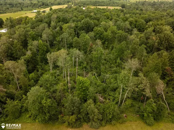 Beaverton, MI 48612,10 acres Townhall RD