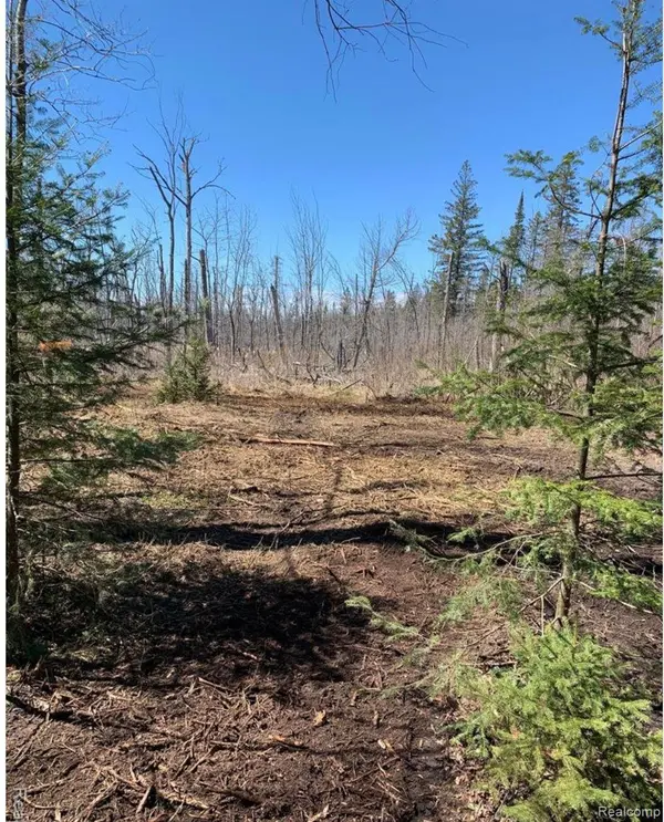 Carp Lake, MI 49718,11215 CECIL BAY RD