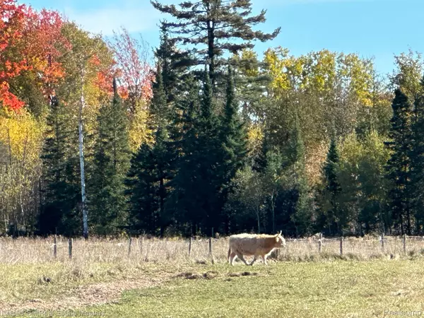 Spruce, MI 48762,400 E SPRUCE RD