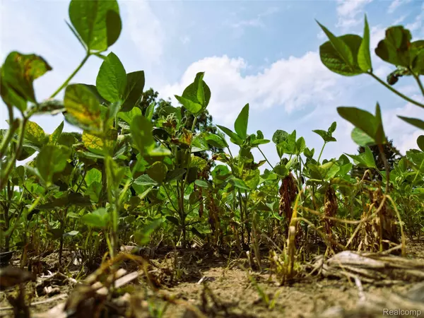 Millington, MI 48746,9654 BIRCH RUN RD