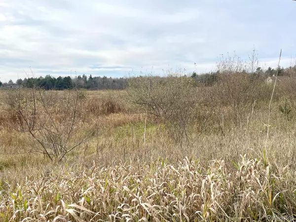 Parcel 3 Maes RD, West Branch, MI 48661