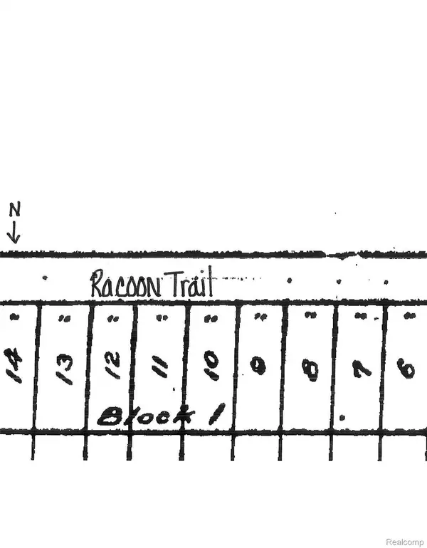 0 Racoon Trail, Alcona Twp, MI 48742