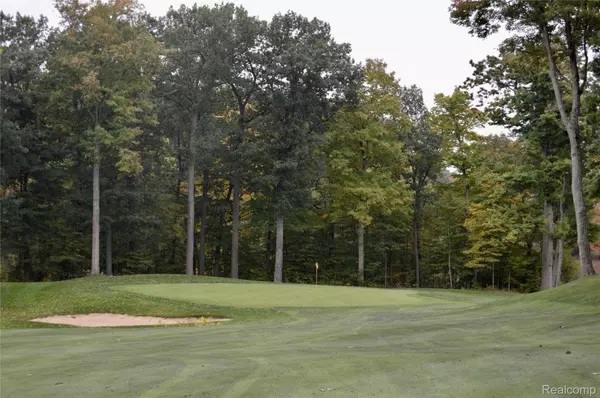 Metamora, MI 48455,1356 MASTERS DR