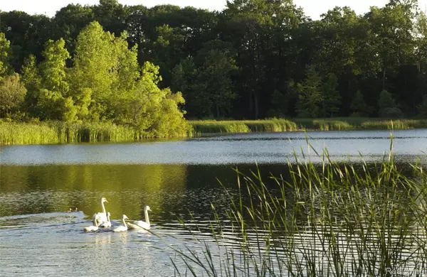 Bloomfield Hills, MI 48302,2670 Turtle Lake DR