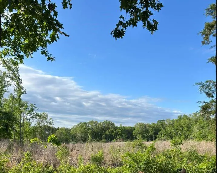 00 Grand Cane Fire Tower Road, Grand Cane, LA 71032