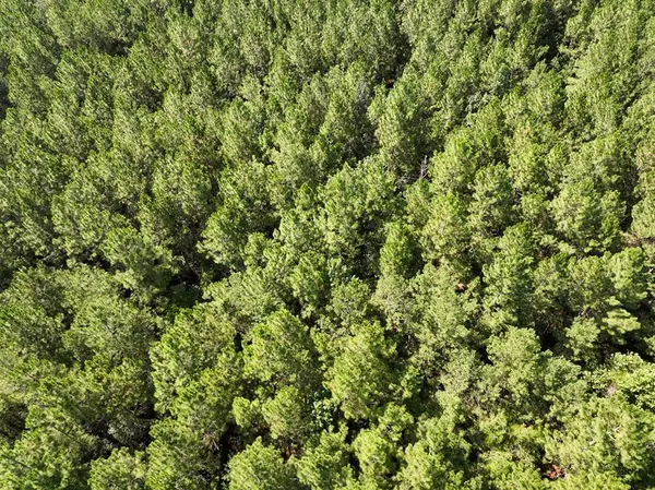 1 State Road 3205, Oberlin, LA 71463