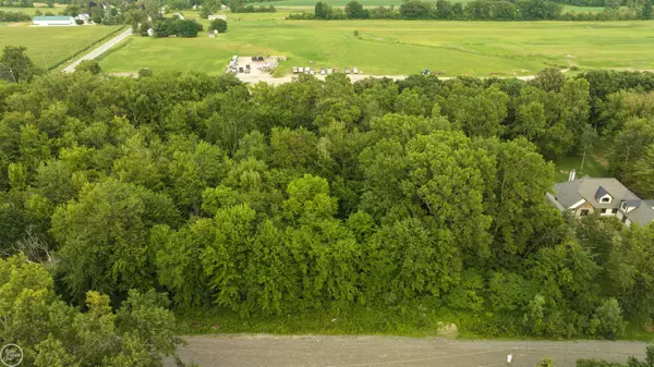 Washington Twp, MI 48094,62880 Braun DR