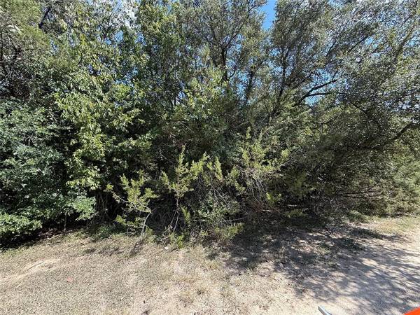 Whitney, TX 76692,120 Live Oak Spur