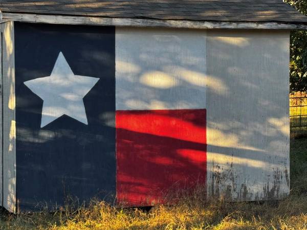 Comanche, TX 76442,203 E Fleming Avenue