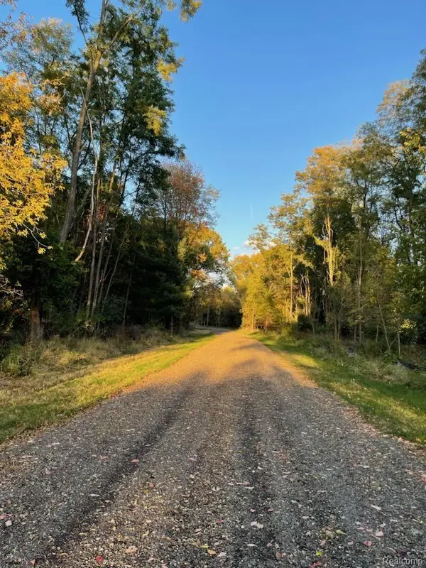 MI 48189,11663 Colangelo LN