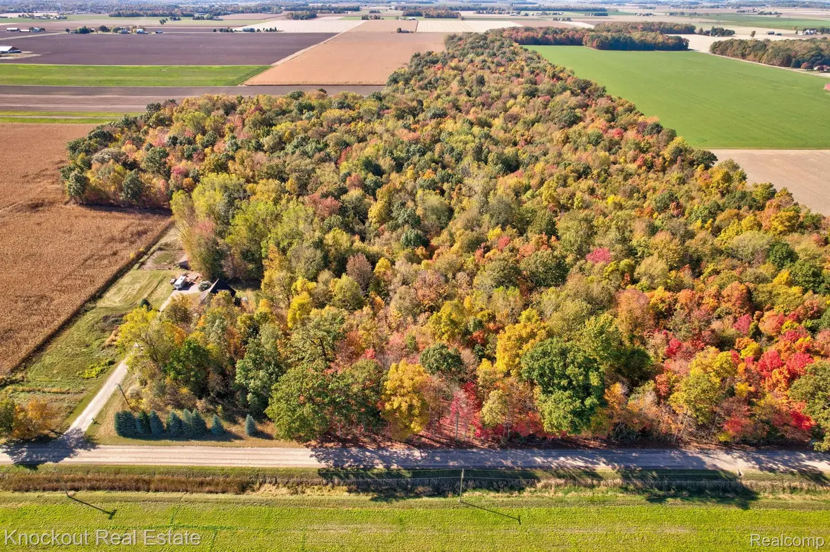 4000 S Reese RD, Frankenmuth Township, MI 48734