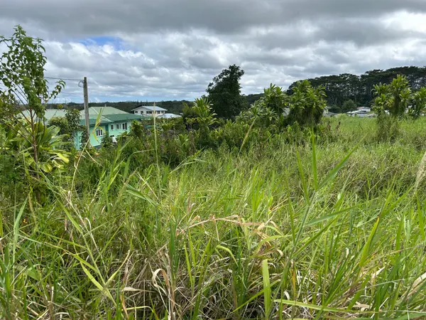 17-333 PALAAI ST, Keaau, HI 96749