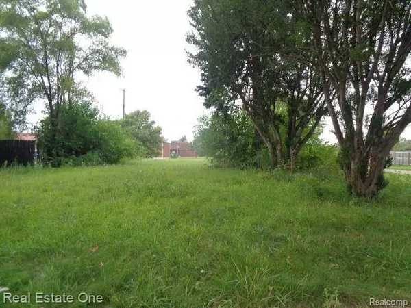 Hamtramck, MI 48212,13281 GABLE ST