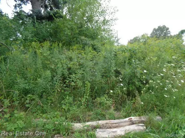 Hamtramck, MI 48212,13281 GABLE ST