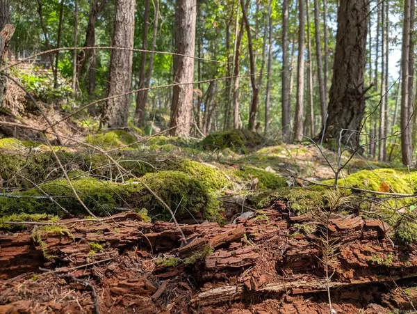 Mudge Island, BC V9X 1P7,Lot 108 Herring Hts