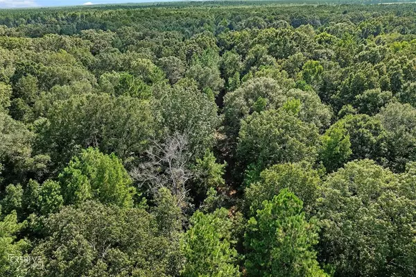 Benton, LA 71006,356 Cottage Grove Road