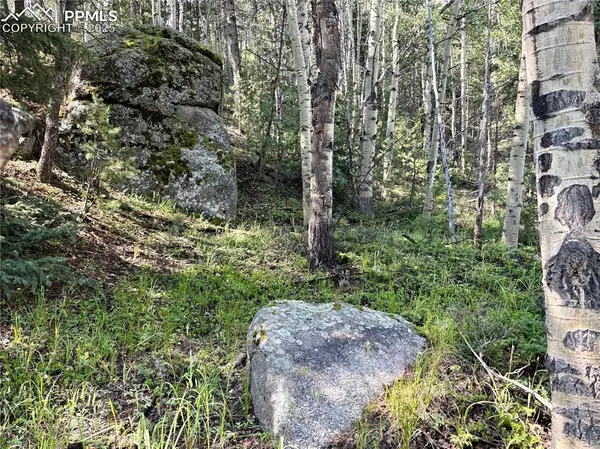 Woodland Park, CO 80863,44 E Valley LN