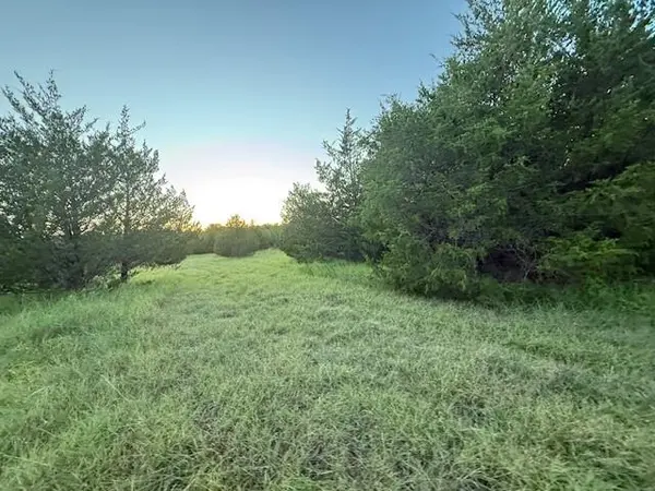 Lake Creek, TX 75450,TBD COUNTY ROAD  1150