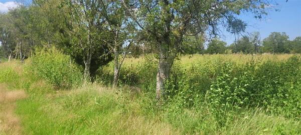 Waxahachie, TX 75165,TBD Holder Lot 3 Road