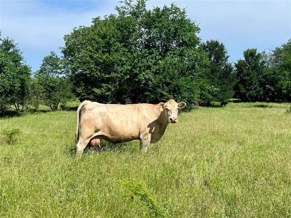 Talco, TX 75487,000 FM 71