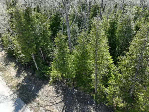 Northern Bruce Peninsula, ON N0H 1W0,Lot 10 Trillium Crossing N/A