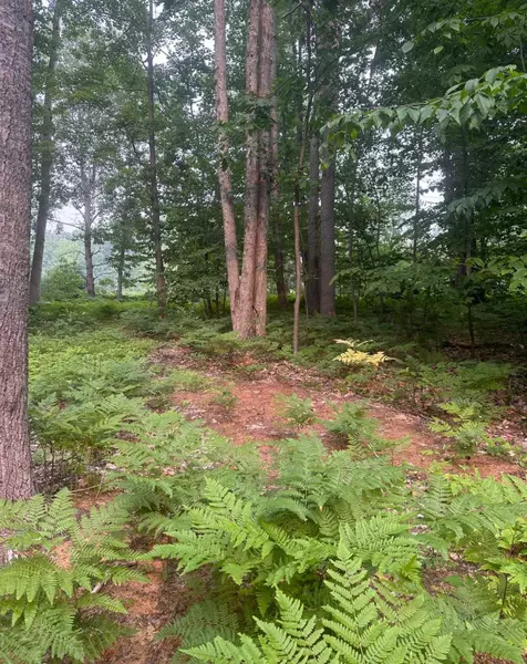 9839 Pine Circle Drive NW, Rapid City, MI 49690