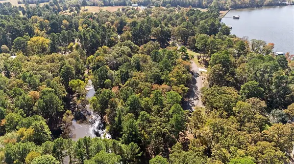 Flint, TX 75762,TBD Hickory Trail