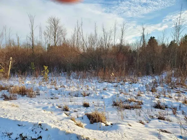 Snover, MI 48472,VL Ubly/Stone RD