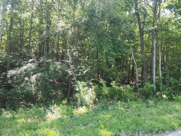 Rustburg, VA 24588,0 Knoll Woods DR