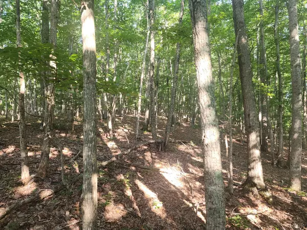 Rustburg, VA 24588,0 Knoll Woods DR