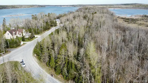 0 S White RD, Clark Township, MI 49719