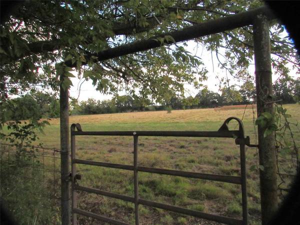 Wolfe City, TX 75496,269 County Road 1008