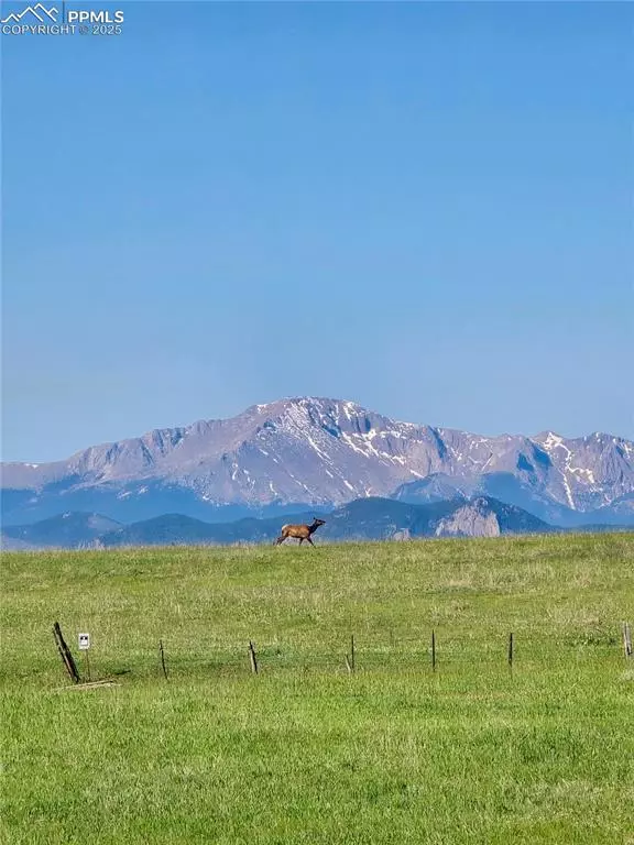 Larkspur, CO 80118,15125 Spring Valley RD