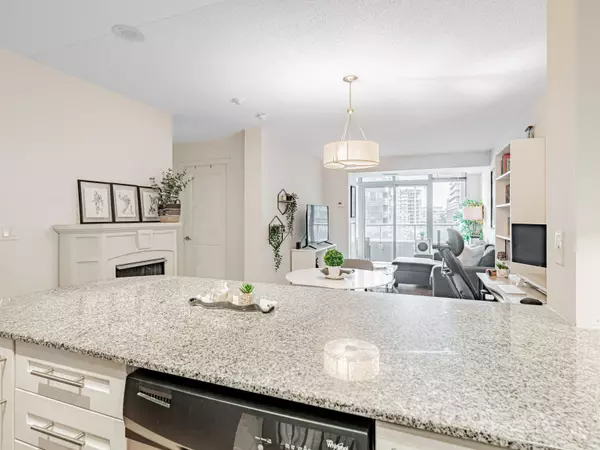 Toronto C01, ON M6K 3R4,85 East Liberty ST #716