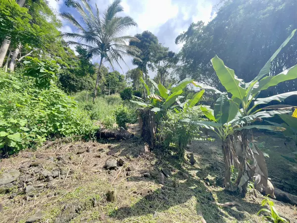 Captain Cook, HI 96704,83-5586 HAWAII BELT RD