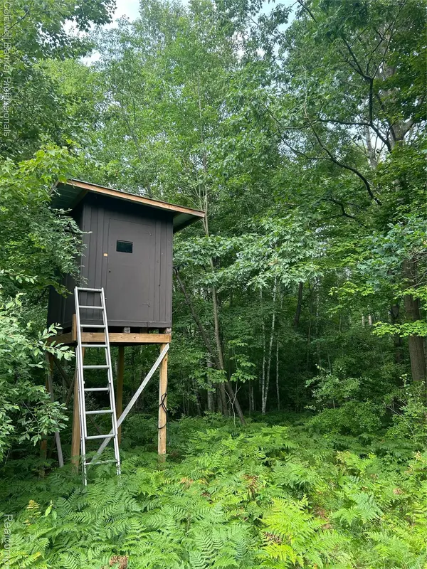 Mayville, MI 48744,0 Chambers RD